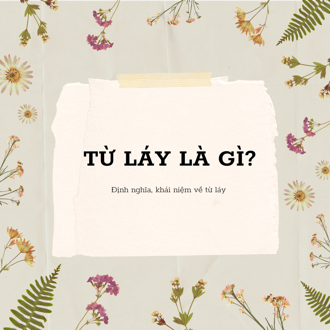 Từ láy là gì? Khái niệm, phân loại và ví dụ dễ hiểu
